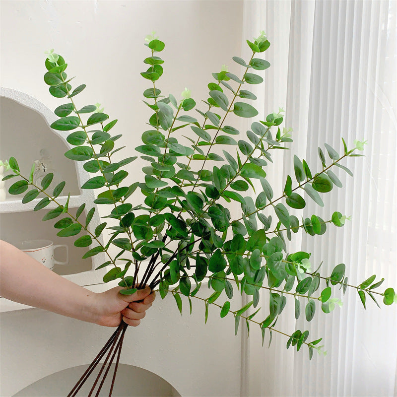 Decorative Eucalyptus Branch