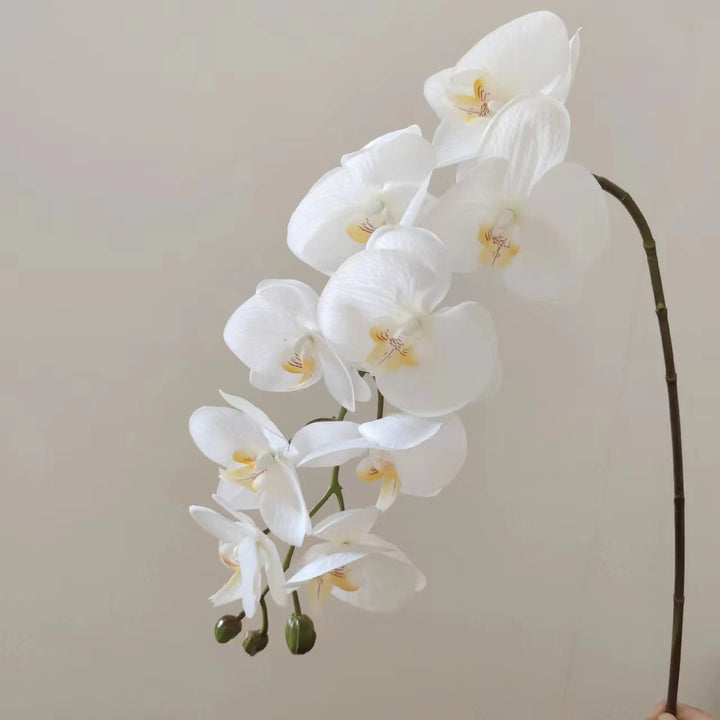 Realistic Orchid Floral Arrangement