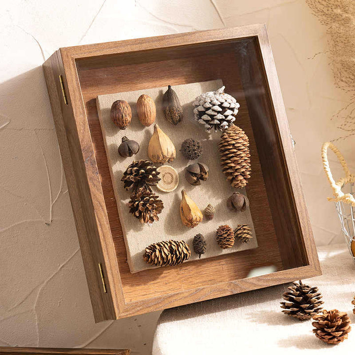 Decorative Nature Collection