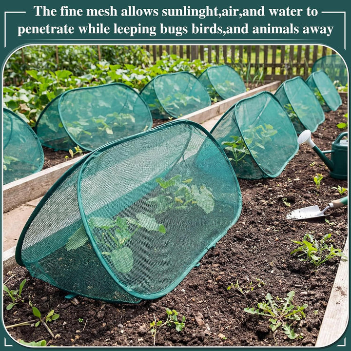 Garden Plant Protection Stornfield