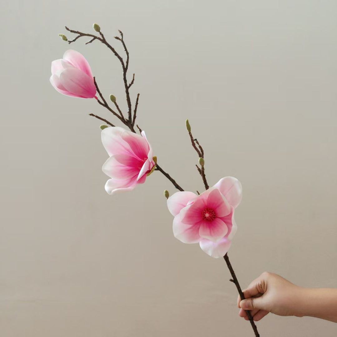 Elegant Magnolia Blossom Stem
