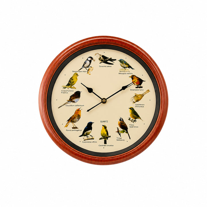 Wall clock with colorful bird design Stornfield