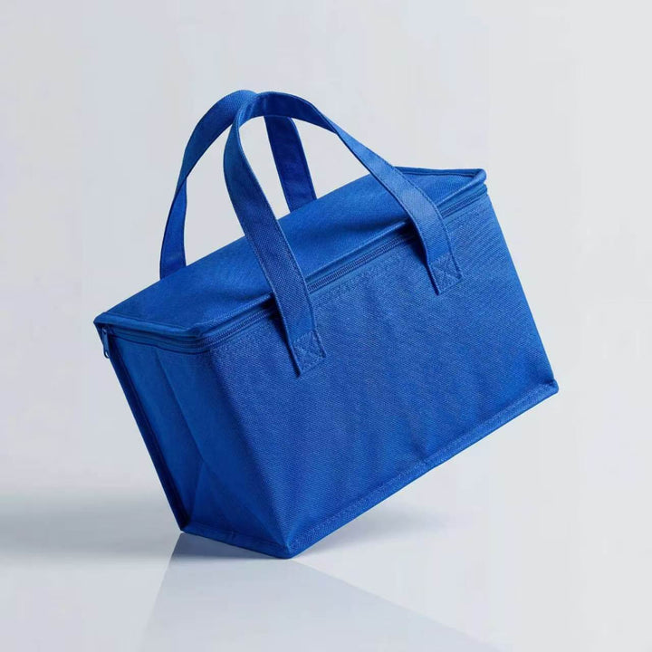Insulated Travel Cooler Bag Stornfield