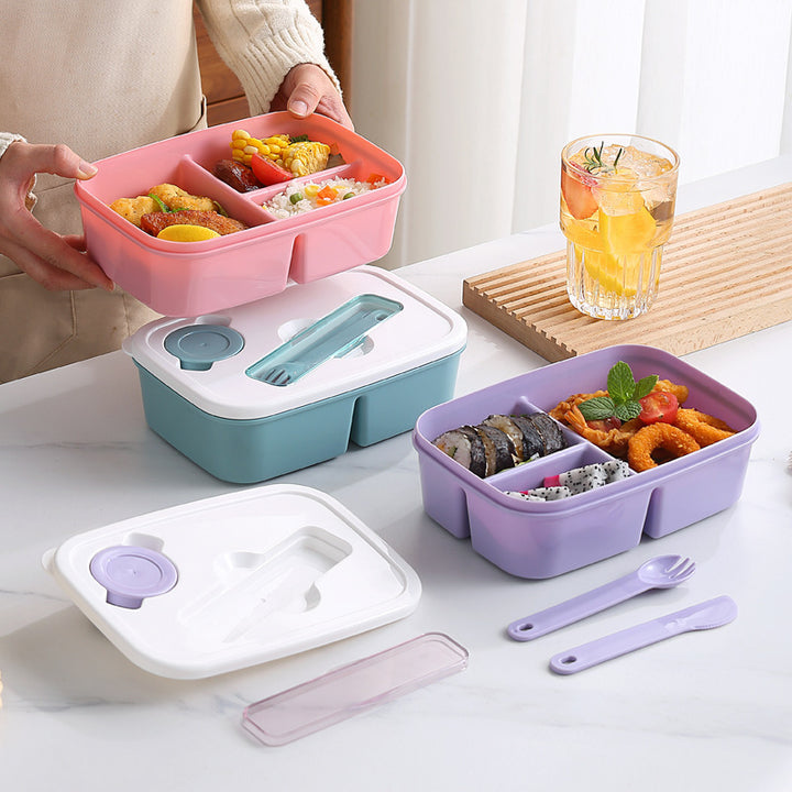 Premium Multi-Section Meal Storage Box