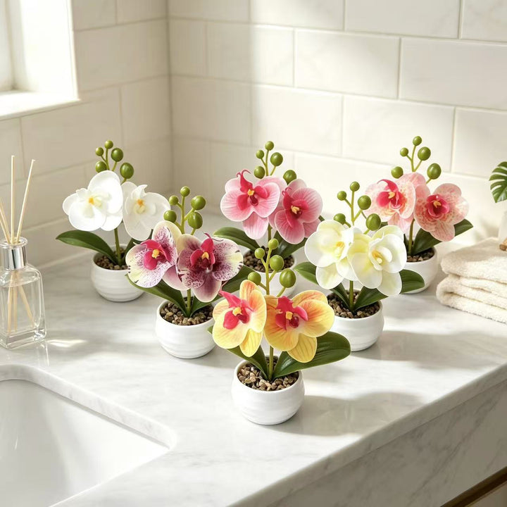 Decorative Orchid Planter