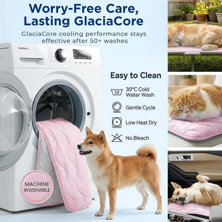 Ladies orthopedic dog bed Stornfield