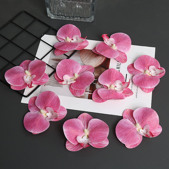 Decorative Orchid Petal for Home Decor Display