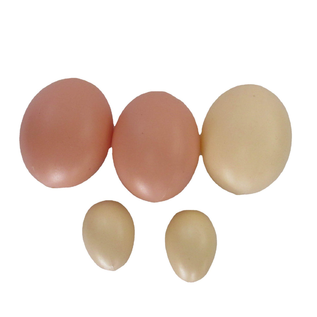 Decorative Craft Egg Set Stornfield