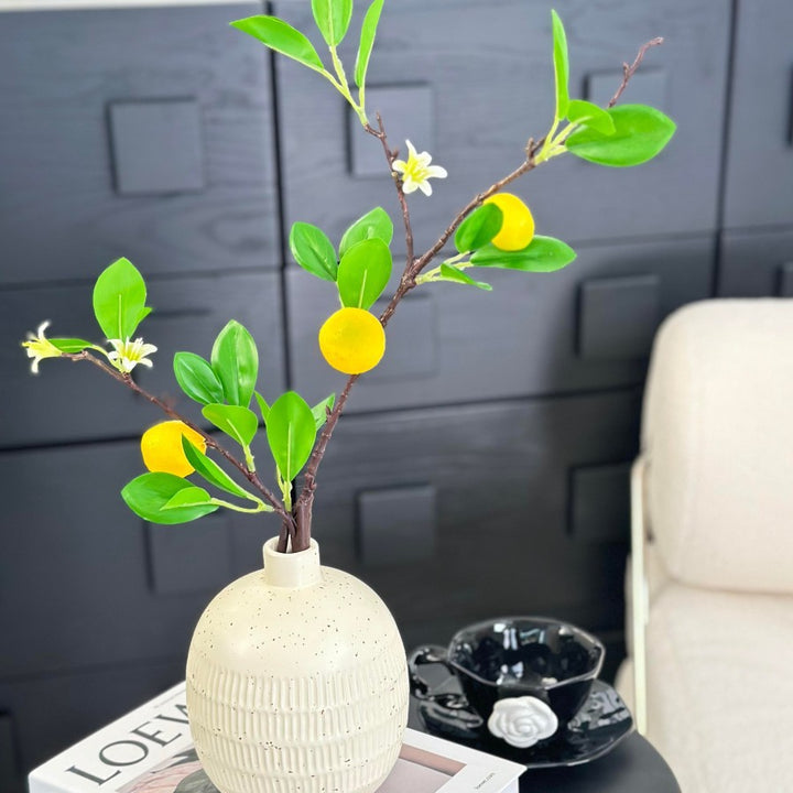 Decorative Vase for Indoor Home Display
