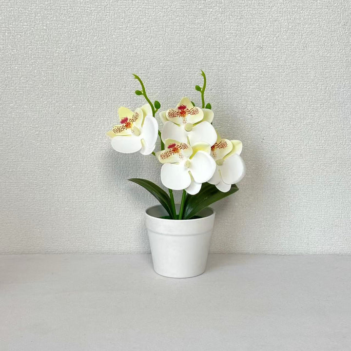 Elegant Decorative Orchid Floral Arrangement for Home Decor
