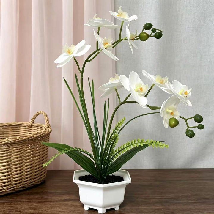 Home Decorative Artificial Orchid for Home Decor and Display