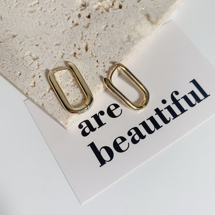 Fashionable Earrings Stornfield