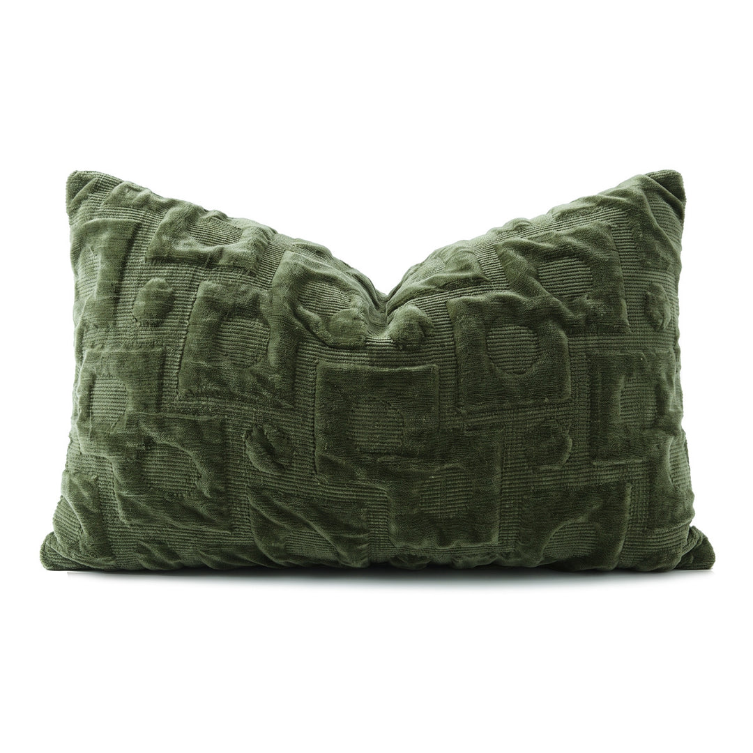 Luxurious velvet decorative pillow