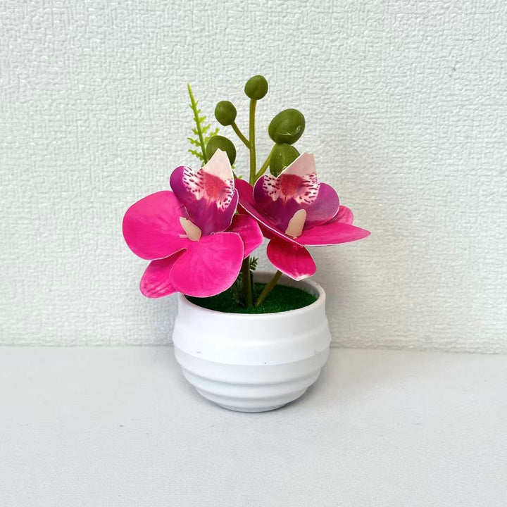 Lifelike Miniature Orchid Arrangement