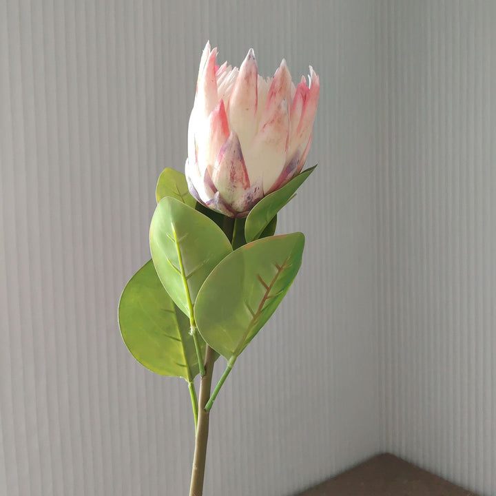 Lifelike Protea Flower Stem