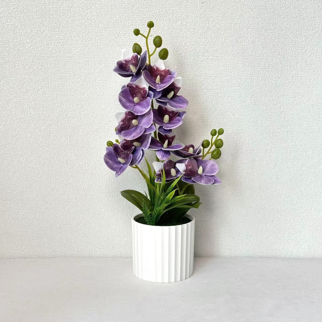 Realistic Indoor Orchid Plant Arrangement