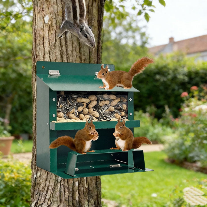 Decorative Wall-Mounted Bird Feeder Stornfield