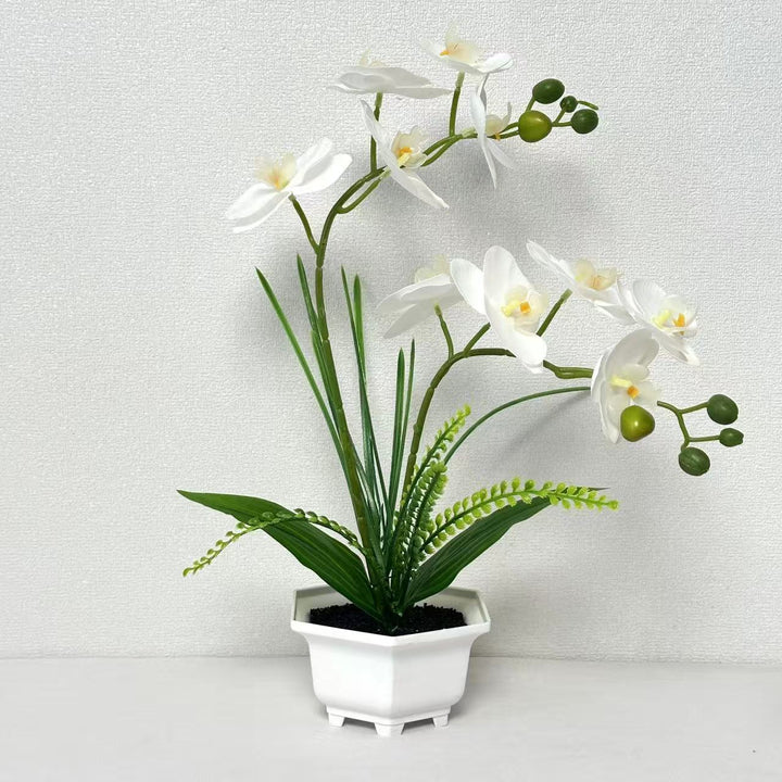 Home Decorative Artificial Orchid for Home Decor and Display