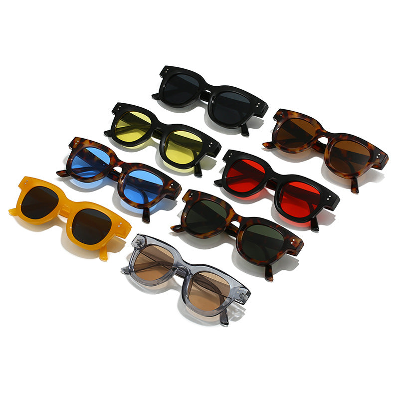 Women's fashionable sunglasses in timeless tortoiseshell pattern Stornfield
