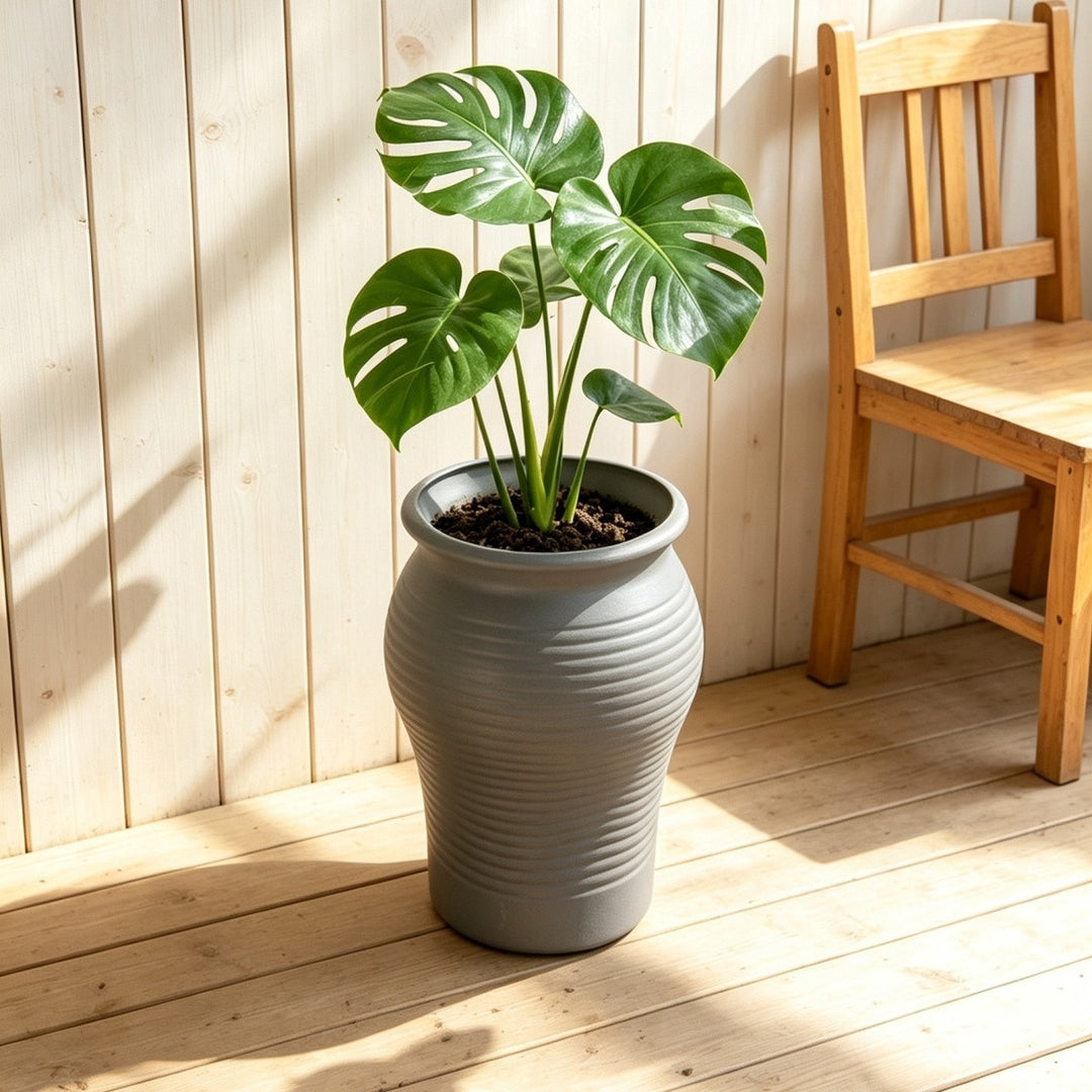 Decorative Planter Stornfeild
