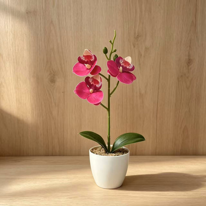 Elegant Faux Orchid Plant Arrangement