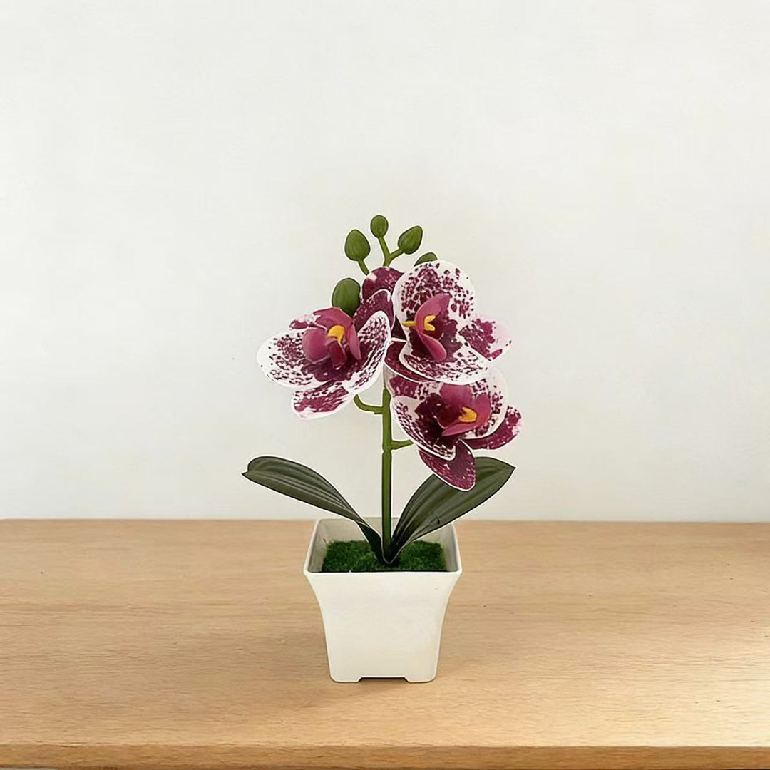 Realistic Artificial Orchid in Decorative Plant Pot for Decor