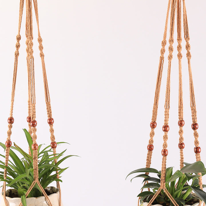 Plant Hanging Hanger Stornfield