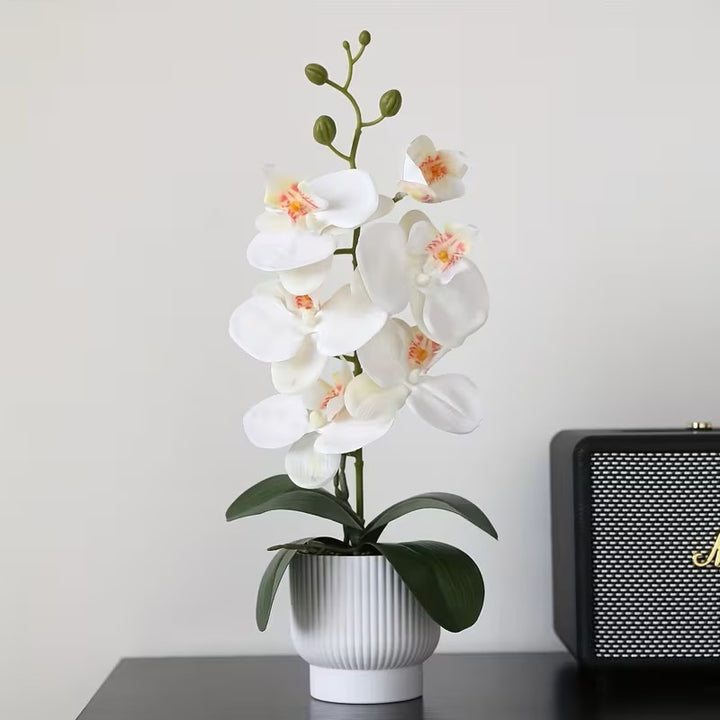 Elegant Artificial Orchid Plant Display for Home Decor
