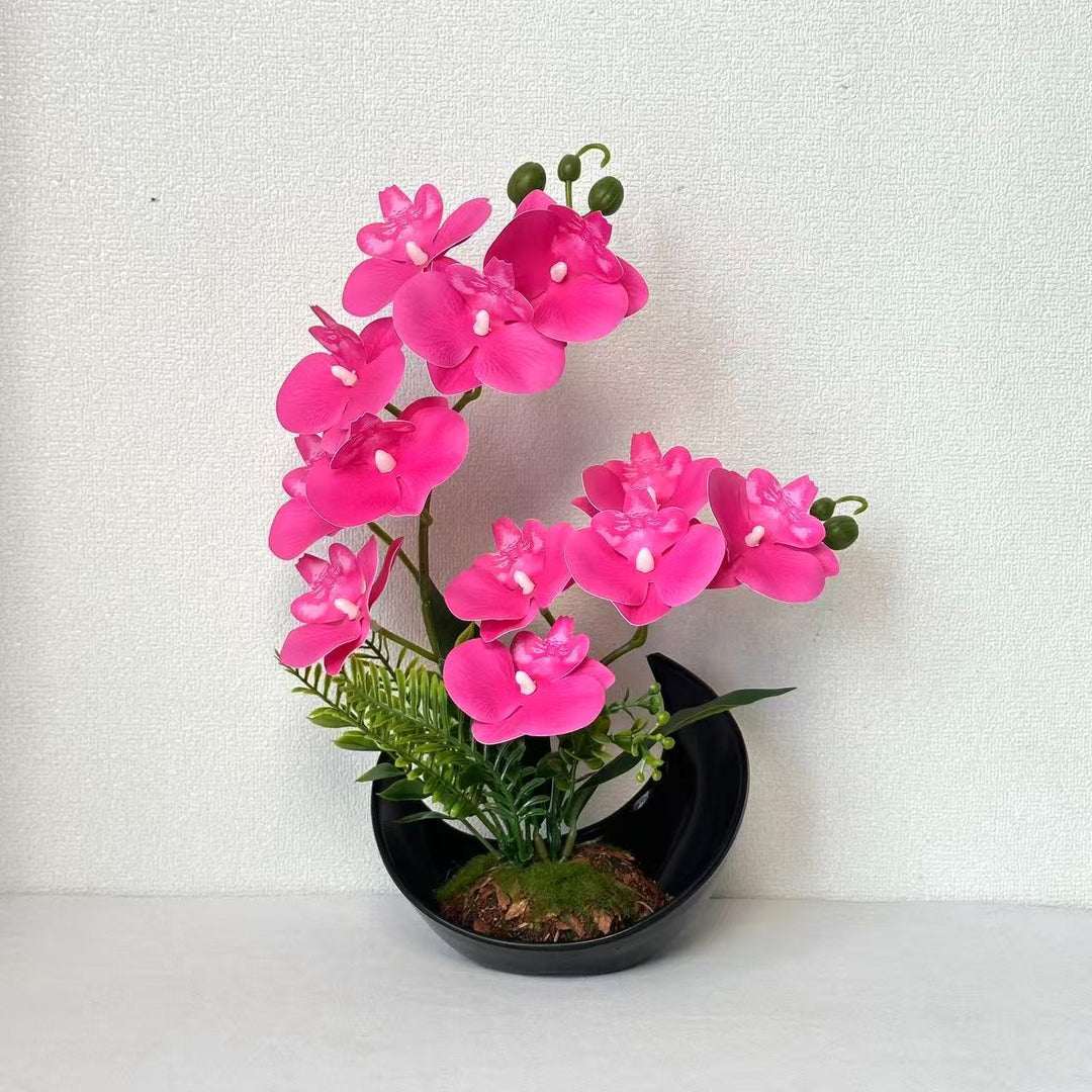 Lifelike Orchid Flower Display