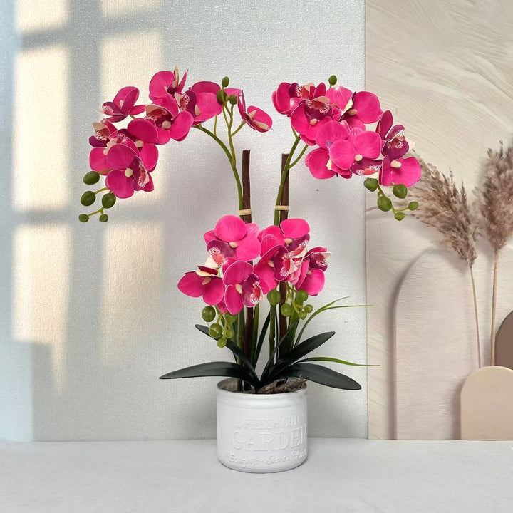 Decorative Potted Orchid Arrangement for Tabletop Decor