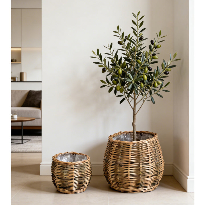 High-quality plant basket made of natural willow Stornfield