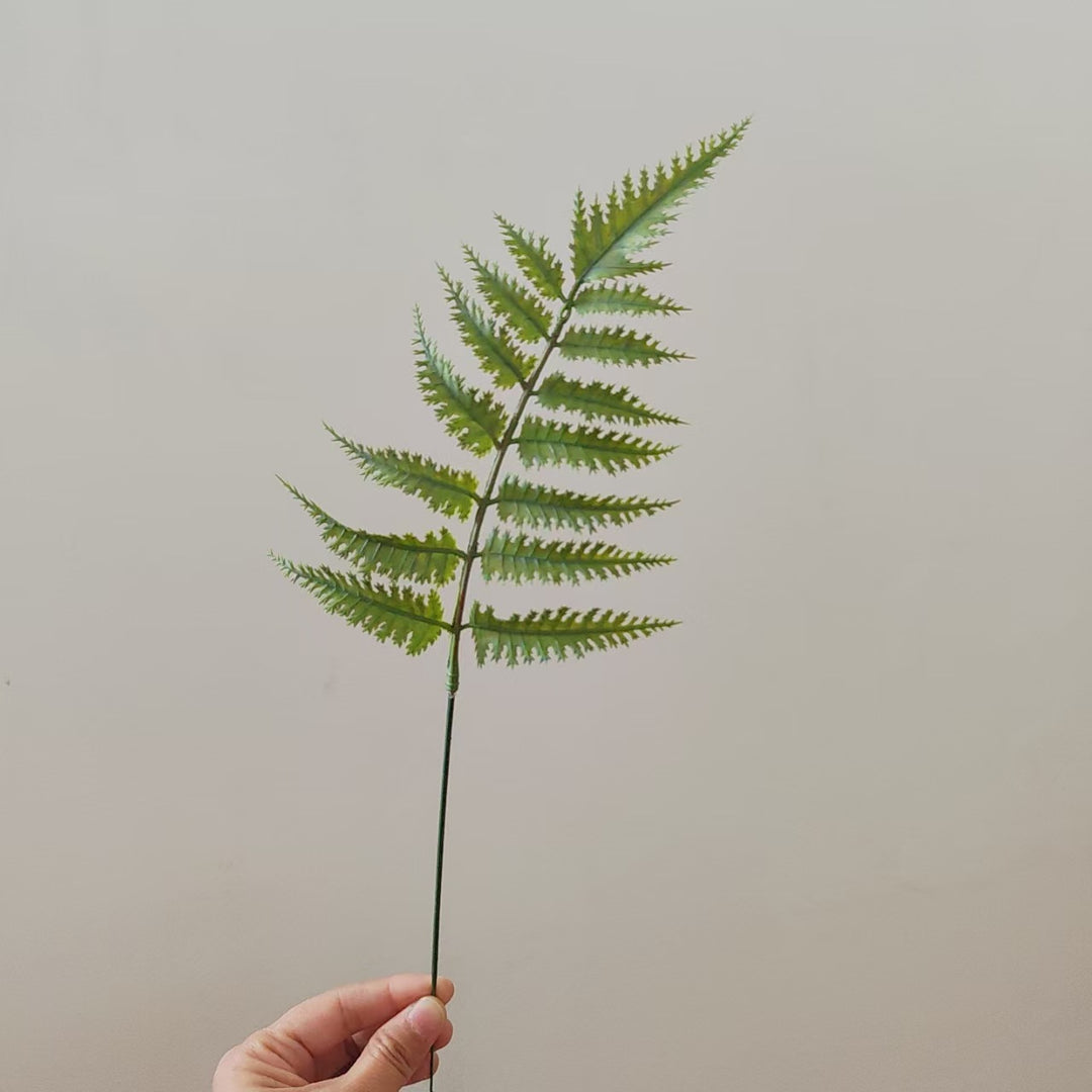 Tropical Palm Leaf Stem
