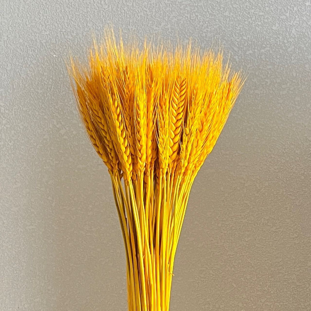 Decorative Wheat Stem Arrangement