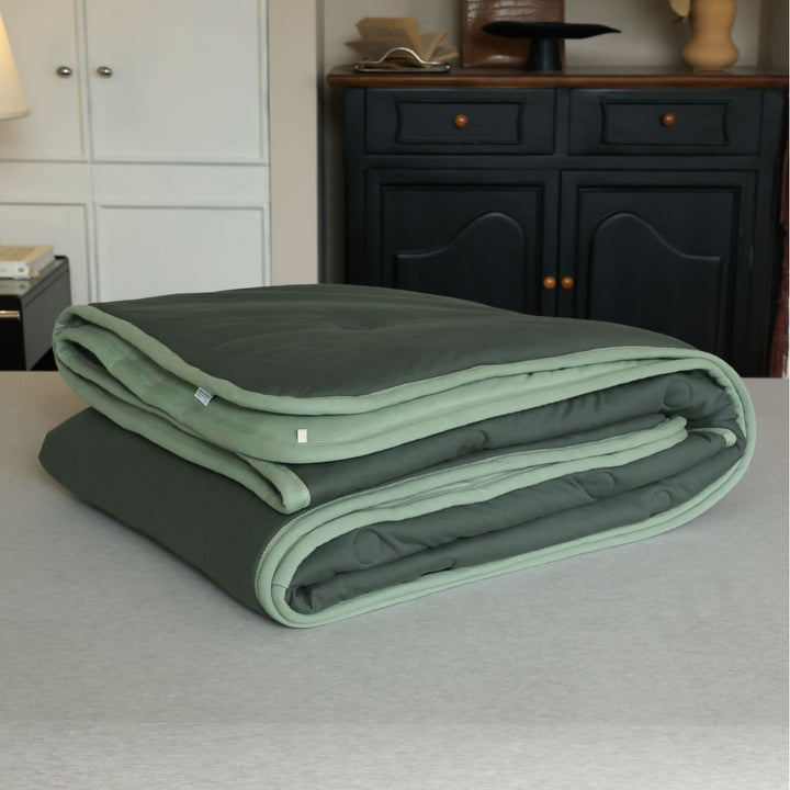 Reversible Quilted Cotton Comforter Blanket
