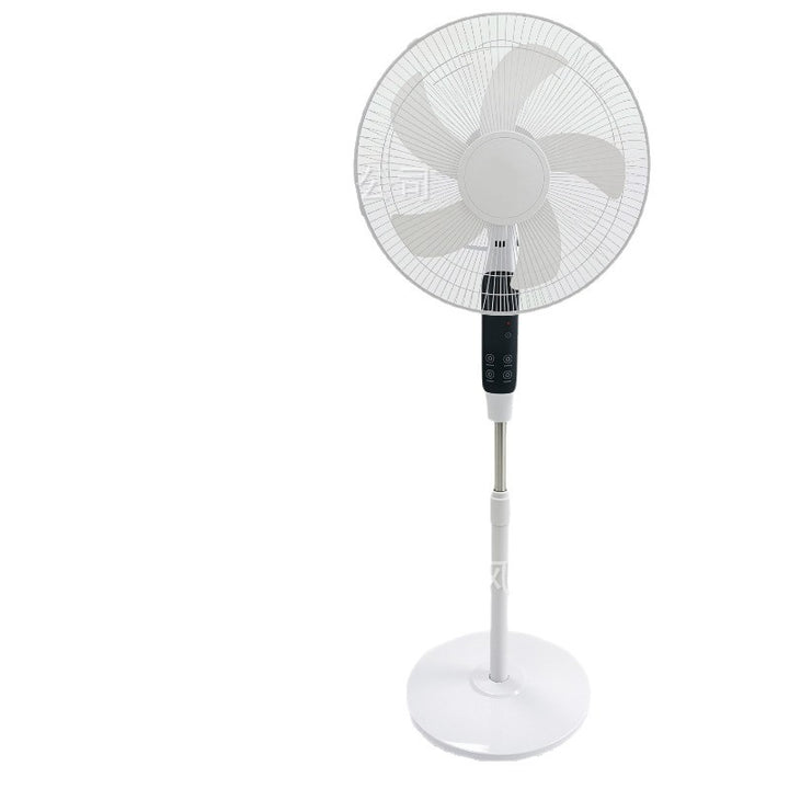 Ladies Stand Fan Stornfield