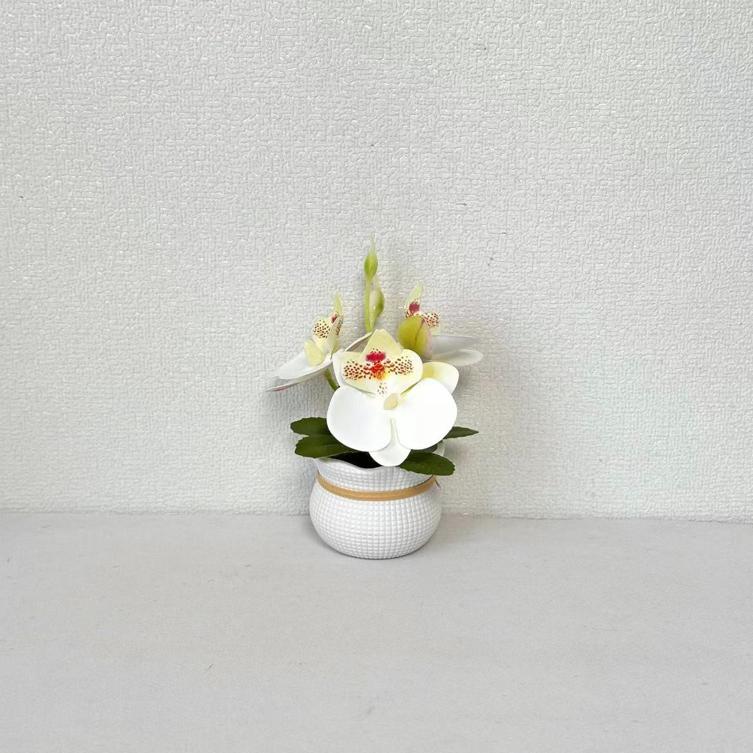 Decorative Potted Orchid Arrangement for Home Decor