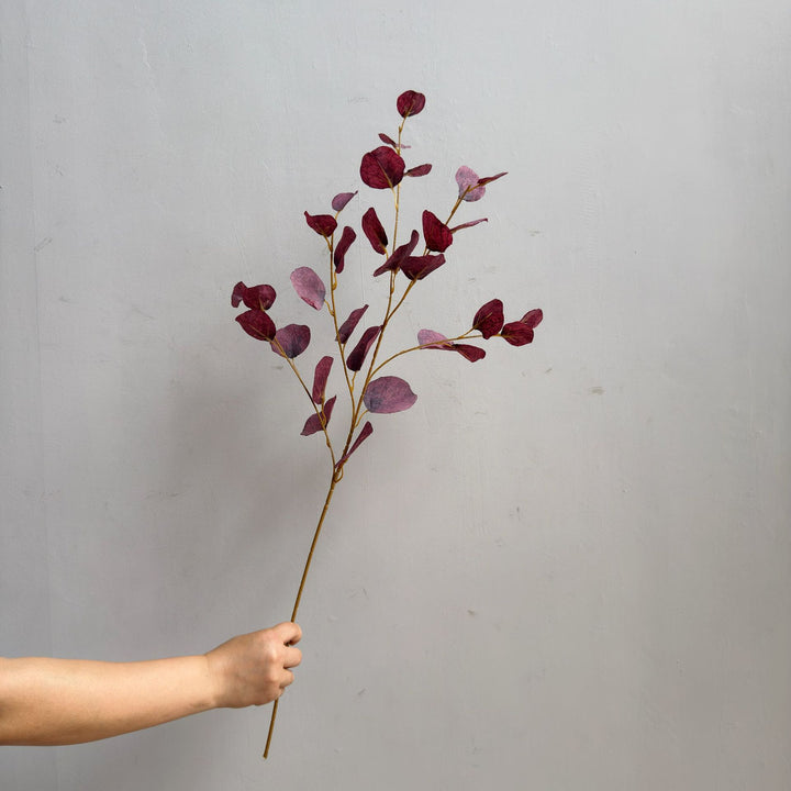 Elegant Decorative Eucalyptus Branch