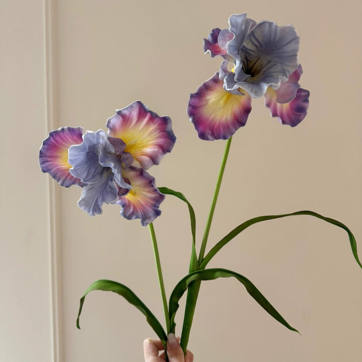 Decorative Iris Flower Stem