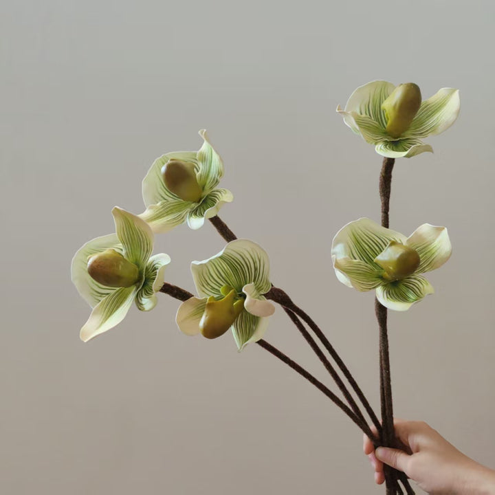 Realistic Orchid Stem Vase Decoration
