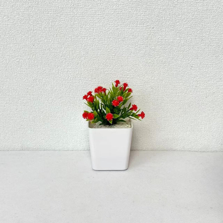 Decorative Mini Potted Plant Arrangement