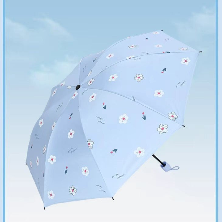 Ladies Umbrella Stornfield
