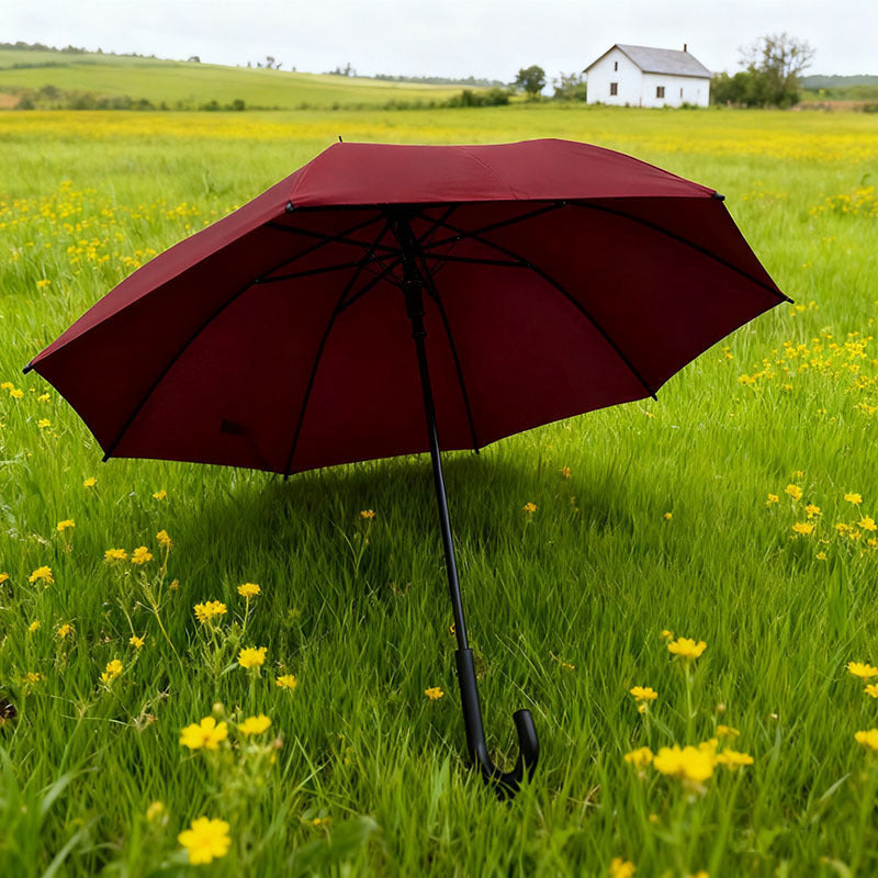 Ladies Umbrella Stornfield