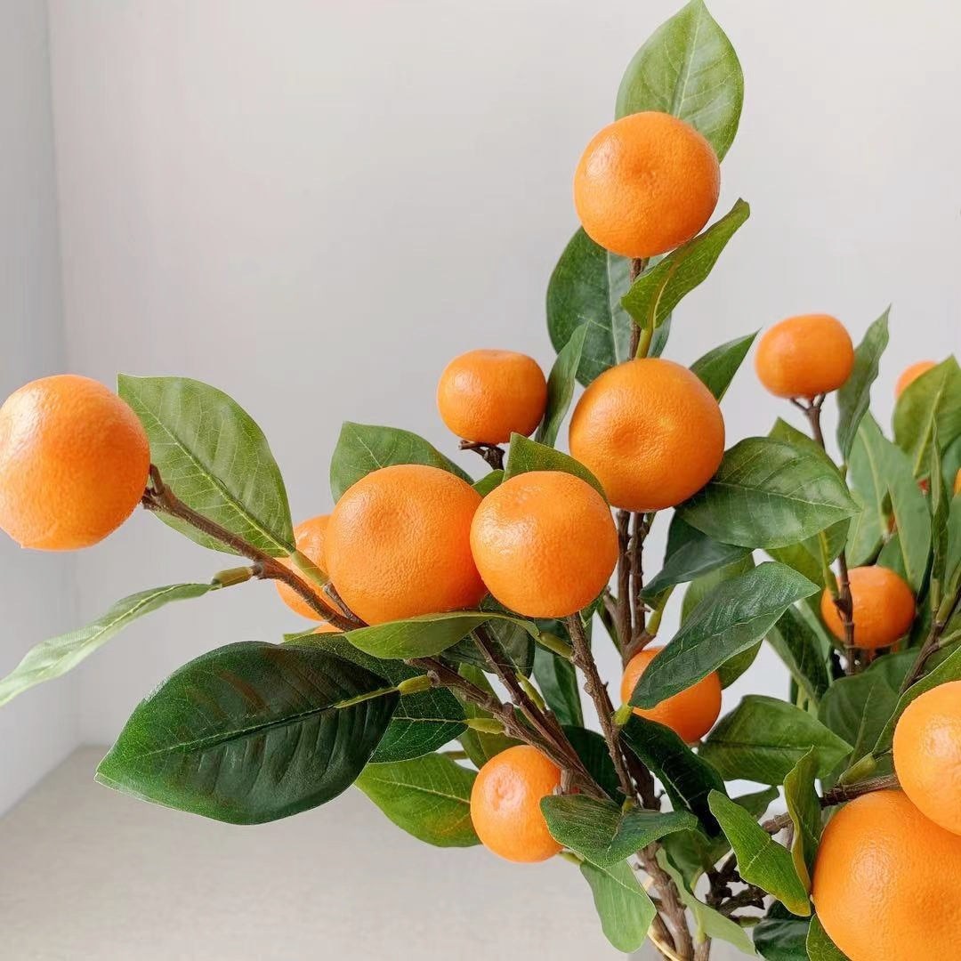 Decorative Citrus Fruit Stem