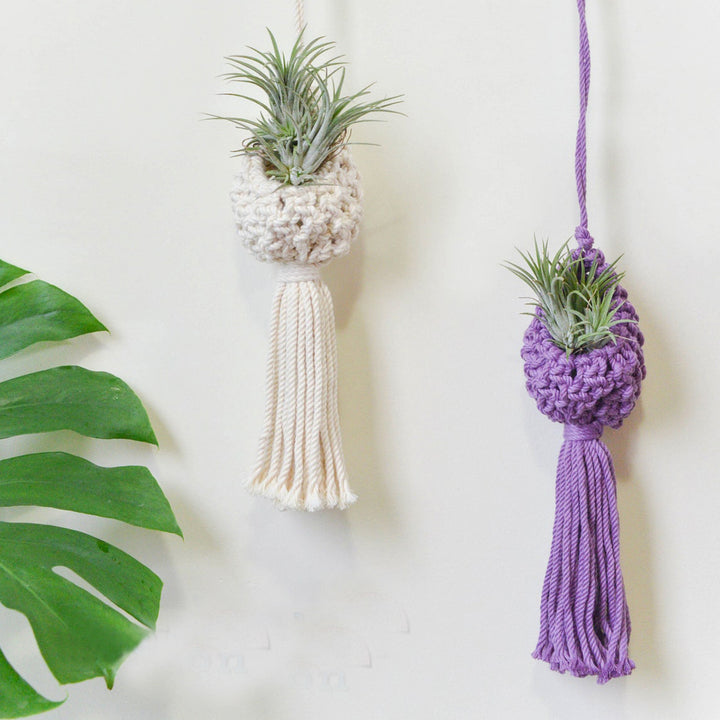 Macrame Hanging Plant Holder with Decorative Tassel Stornfield