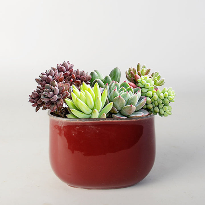 Flower pot Stornfield