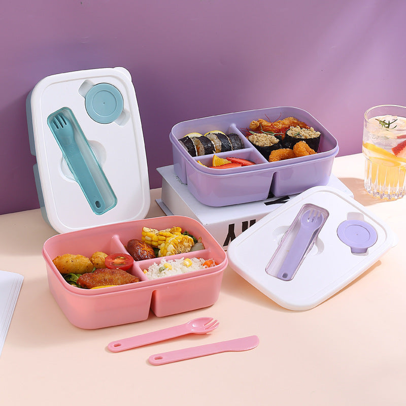 Premium Multi-Section Meal Storage Box