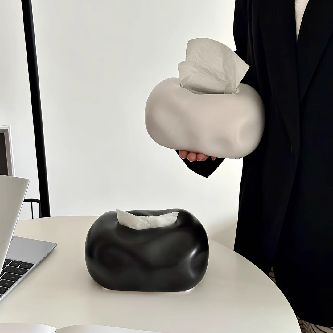 Modern Abstract Tissue Box Holder