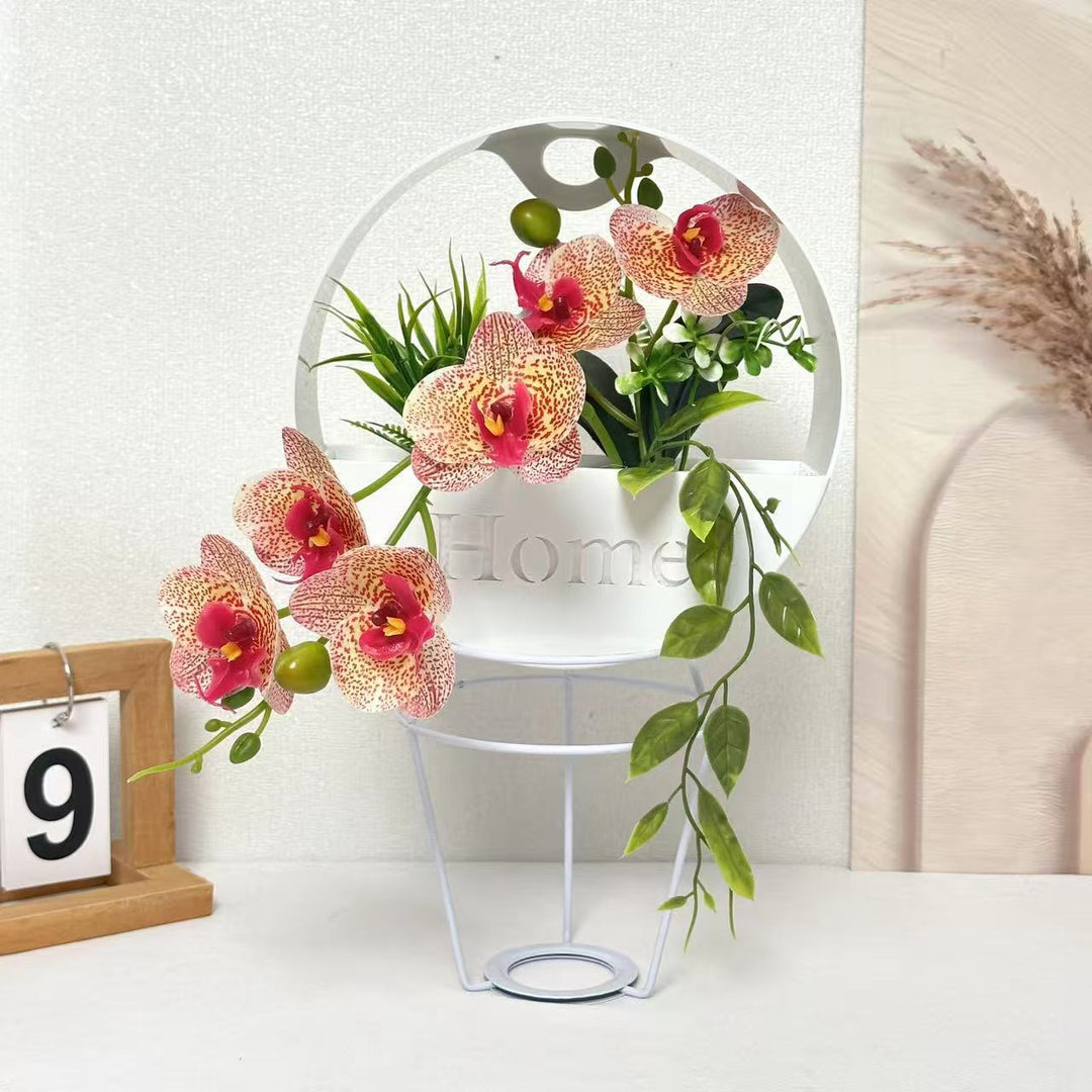 Decorative Indoor Plant Arrangement