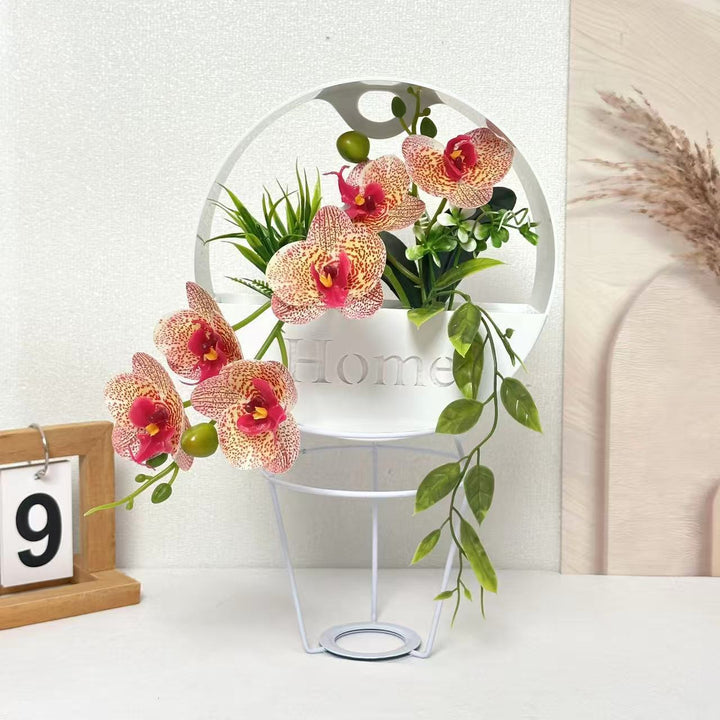 Decorative Indoor Plant Arrangement