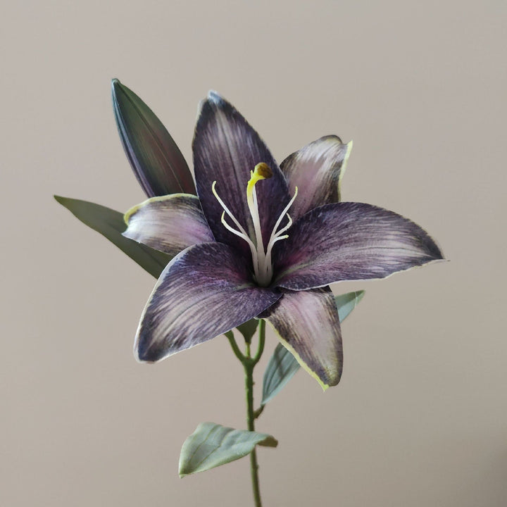 Lifelike Lily Stem